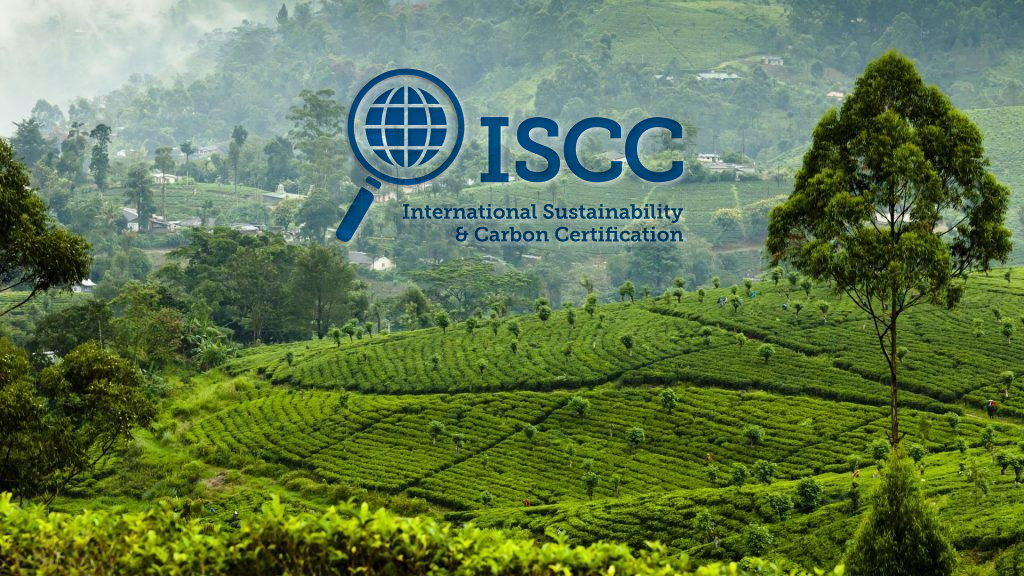 M0XGVJ3L8YM4E.jpg M0XGVJ3L8YM4E.jpg