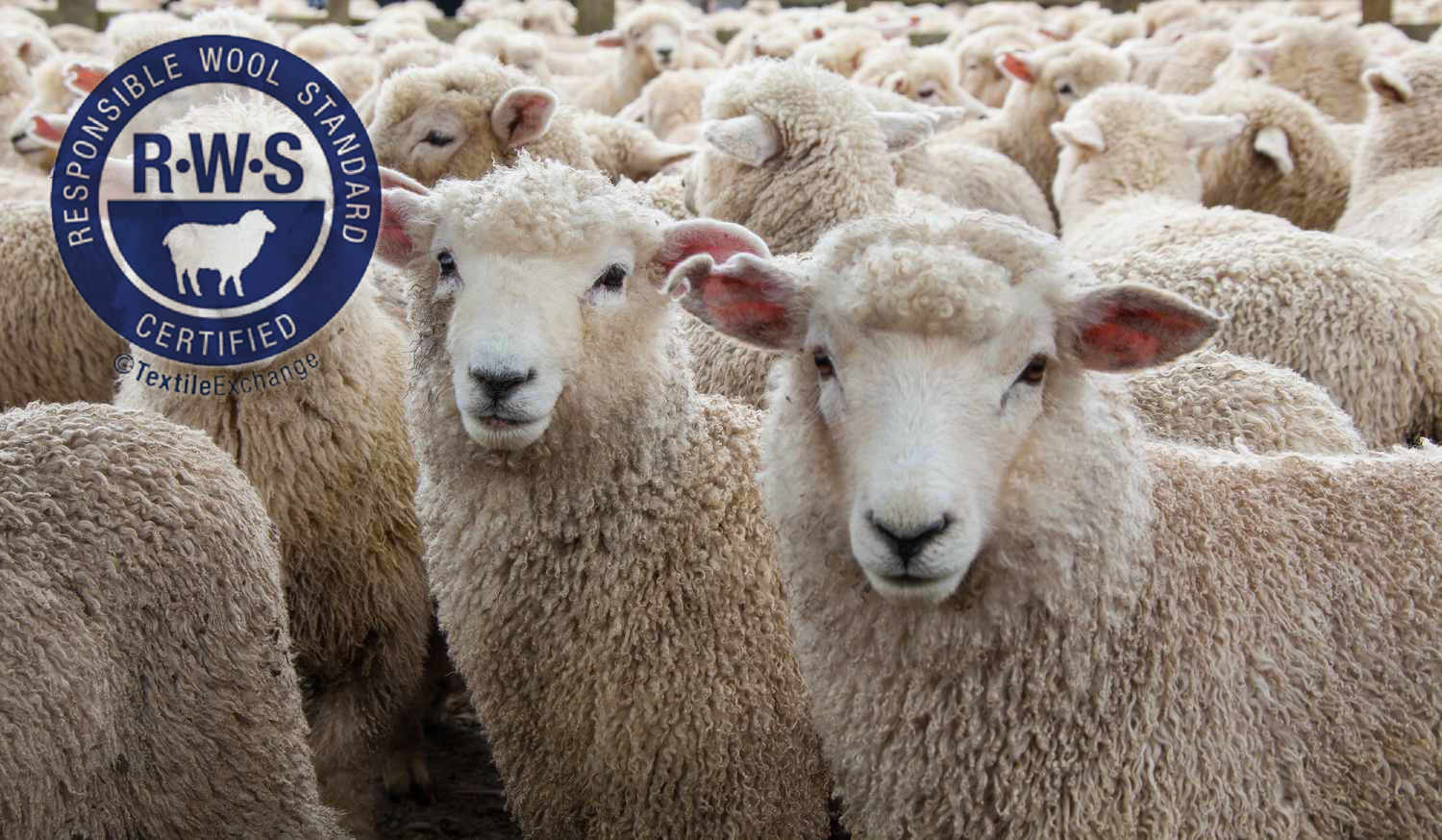 Medieval Methods for Making Fabric From Wool.jpg